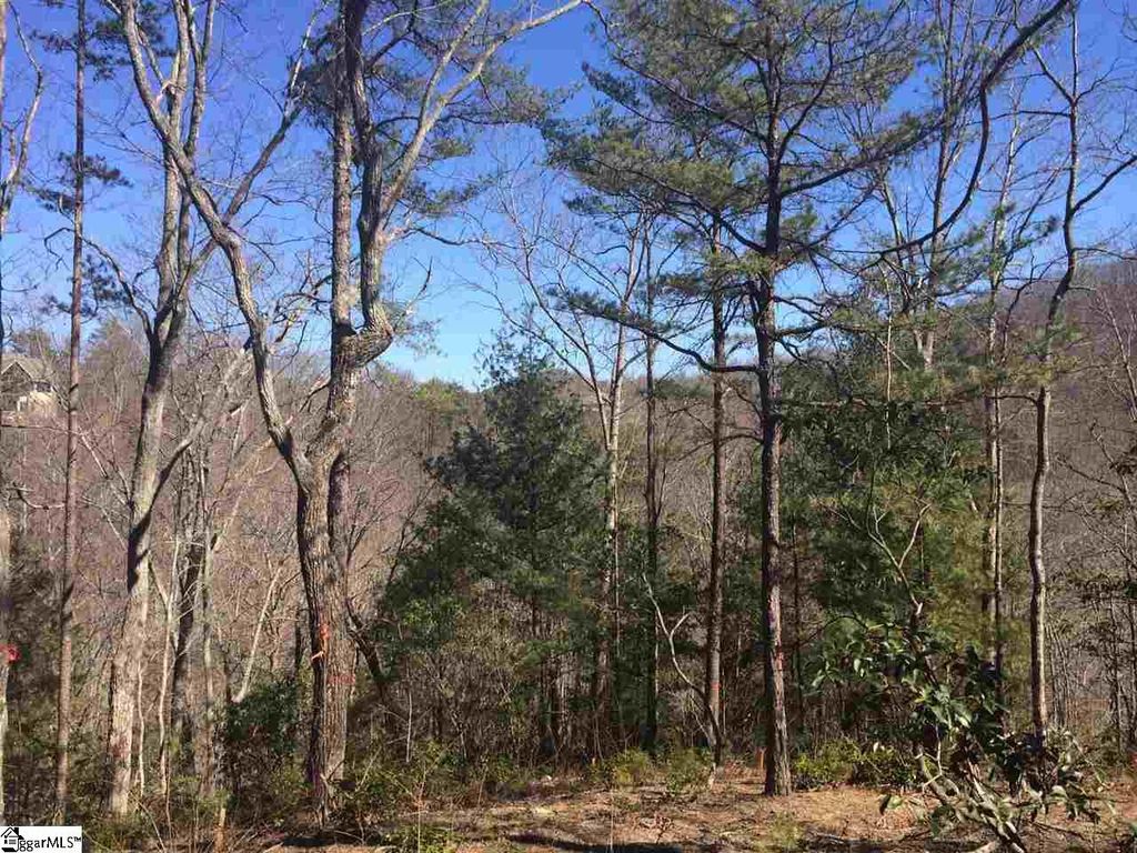 18 Angle Stone Way, Travelers Rest, SC 29690