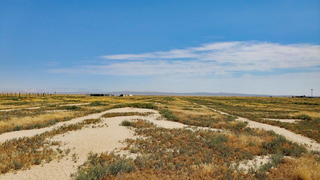 Vicinity Ave D-11 & 52nd St E, Lancaster, CA 93535