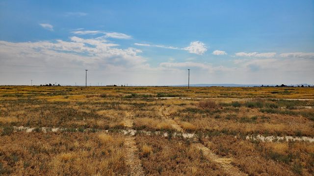 Vicinity Ave D-11 & 52nd St E, Lancaster, CA 93535