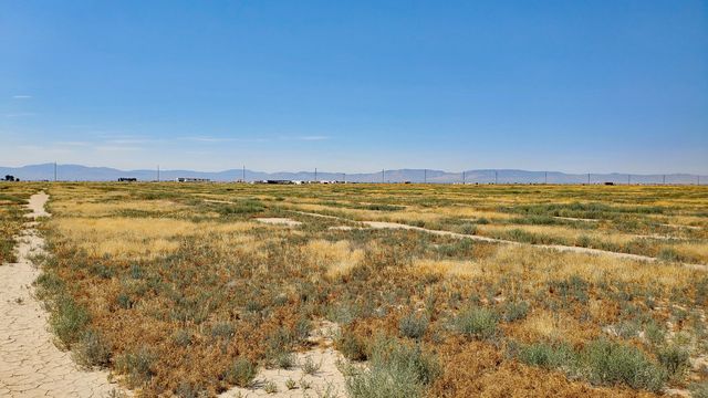 Vicinity Ave D-11 & 52nd St E, Lancaster, CA 93535