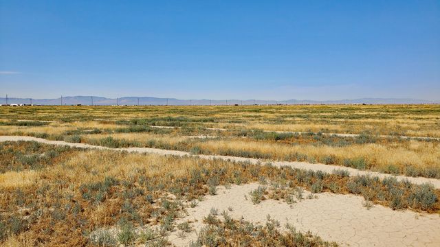 Vicinity Ave D-11 & 52nd St E, Lancaster, CA 93535