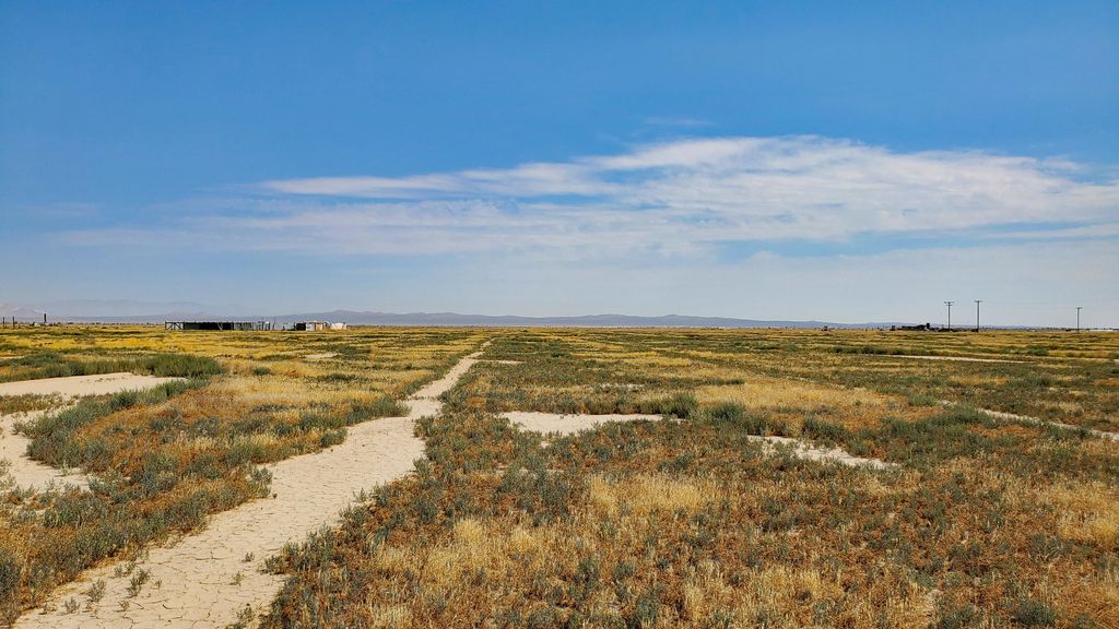 Vicinity Ave D-11 & 52nd St E, Lancaster, CA 93535