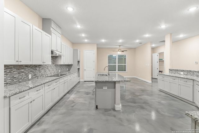 703 W Petaluma Blvd, San Antonio, TX 78221