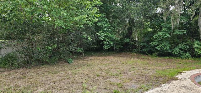 4375 LINDSEY LOOP, Dover, FL 33527