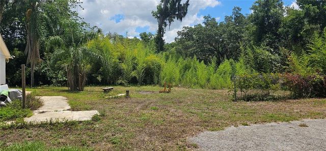 4375 LINDSEY LOOP, Dover, FL 33527