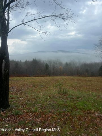 0 Blueberry Estate, Prattsville, NY 12468