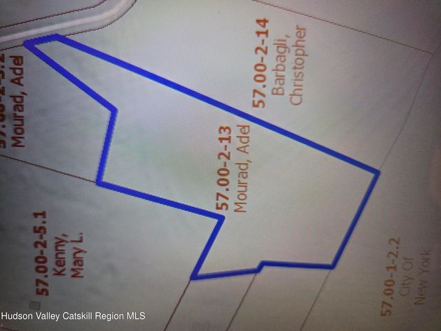 0 Blueberry Estate, Prattsville, NY 12468