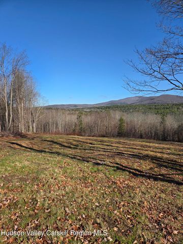 0 Blueberry Estate, Prattsville, NY 12468