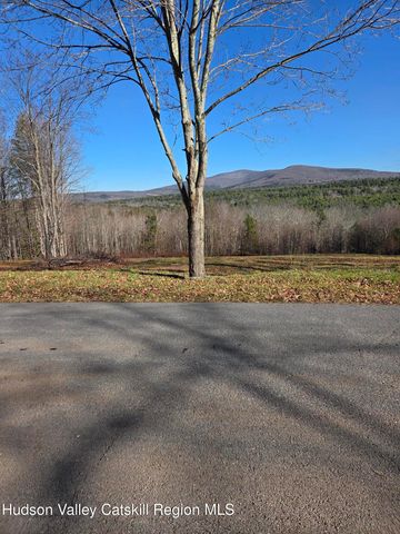 0 Blueberry Estate, Prattsville, NY 12468