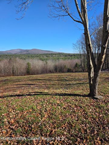 0 Blueberry Estate, Prattsville, NY 12468