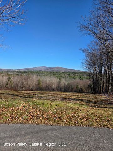 0 Blueberry Estate, Prattsville, NY 12468