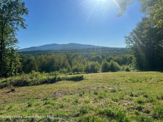 0 Blueberry Estate, Prattsville, NY 12468
