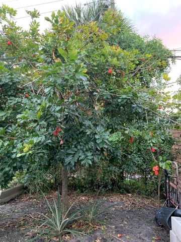 1345 W 34th Street, Riviera Beach, FL 33404