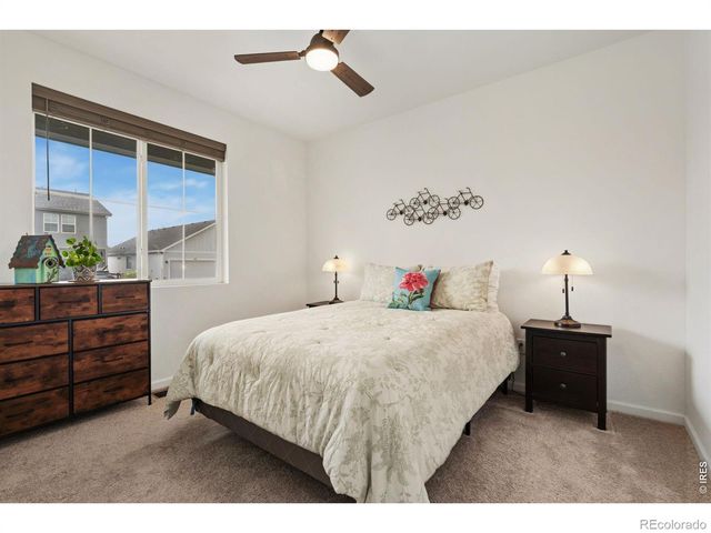 1632 Dancing Cattail Drive, Fort Collins, CO 80528
