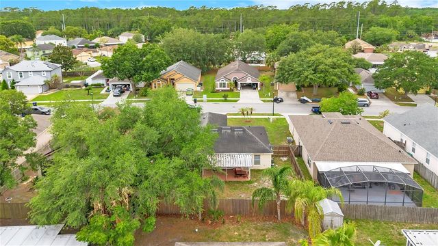 4217 IVEYGLEN AVENUE, Orlando, FL 32826