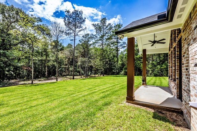 111 Eagle Run, New Waverly, TX 77358