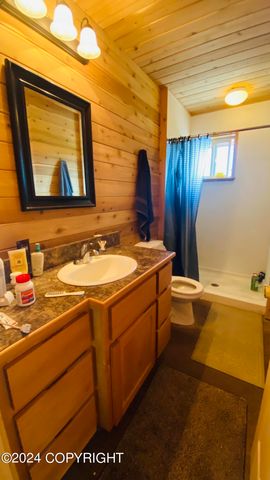 L2-3 Keyes Point, Port Alsworth, AK 99653