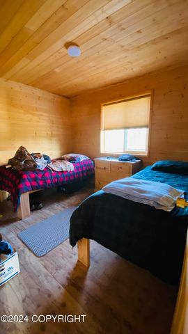 L2-3 Keyes Point, Port Alsworth, AK 99653