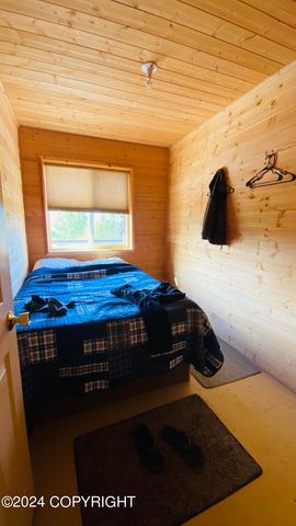 L2-3 Keyes Point, Port Alsworth, AK 99653