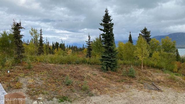 L2-3 Keyes Point, Port Alsworth, AK 99653