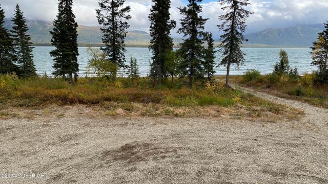 L2-3 Keyes Point, Port Alsworth, AK 99653