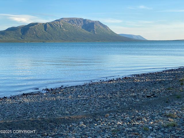 L2-3 Keyes Point, Port Alsworth, AK 99653