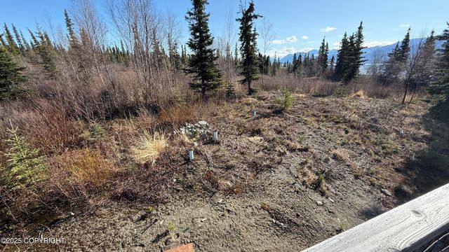 L2-3 Keyes Point, Port Alsworth, AK 99653