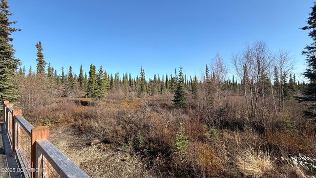 L2-3 Keyes Point, Port Alsworth, AK 99653