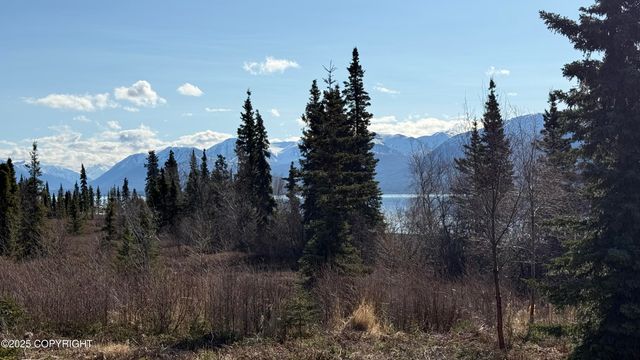 L2-3 Keyes Point, Port Alsworth, AK 99653