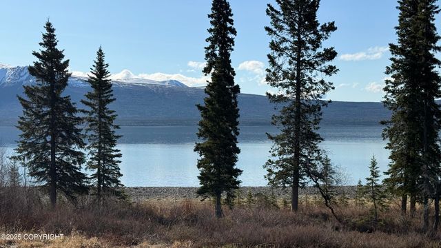 L2-3 Keyes Point, Port Alsworth, AK 99653