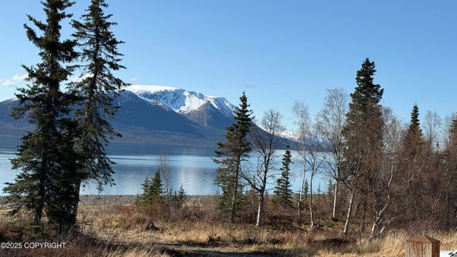 L2-3 Keyes Point, Port Alsworth, AK 99653