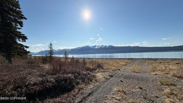 L2-3 Keyes Point, Port Alsworth, AK 99653