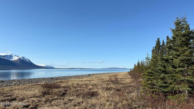 L2-3 Keyes Point, Port Alsworth, AK 99653