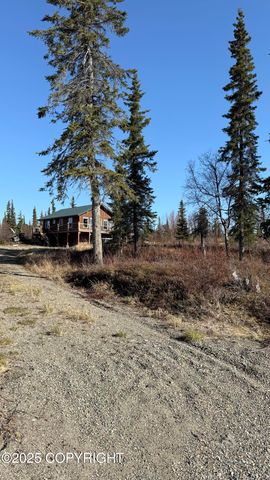L2-3 Keyes Point, Port Alsworth, AK 99653