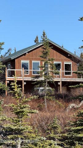 L2-3 Keyes Point, Port Alsworth, AK 99653