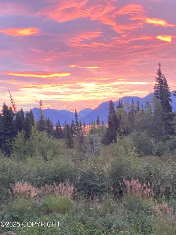 L2-3 Keyes Point, Port Alsworth, AK 99653