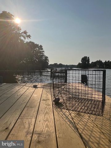 37420 RIVER SPRINGS RD, Avenue, MD 20609