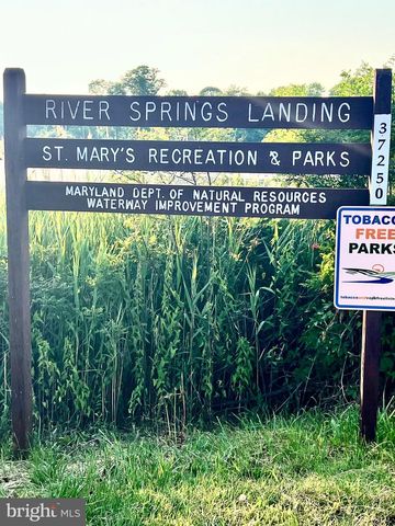 37420 RIVER SPRINGS RD, Avenue, MD 20609