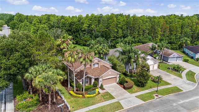 8711 PRESTON WOODS COURT, Land O Lakes, FL 34638
