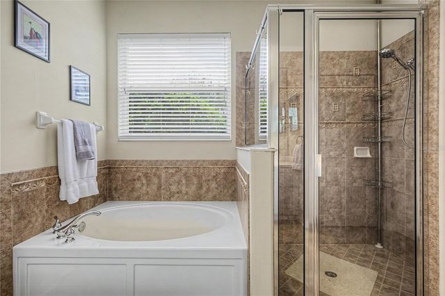 8711 PRESTON WOODS COURT, Land O Lakes, FL 34638