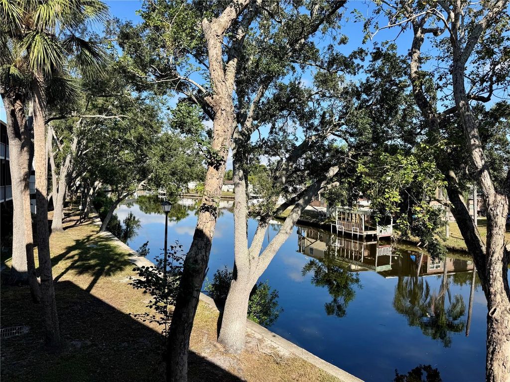 9205 TUDOR DRIVE C208, Tampa, FL 33615