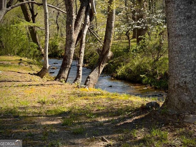 33 Pigeon Creek Drive, Blue Ridge, GA 30513