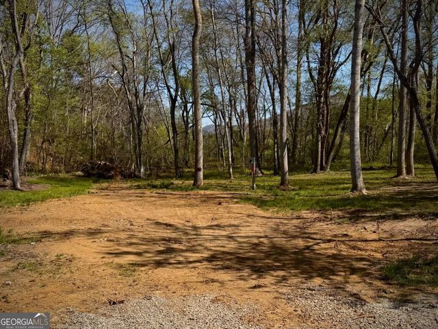 33 Pigeon Creek Drive, Blue Ridge, GA 30513