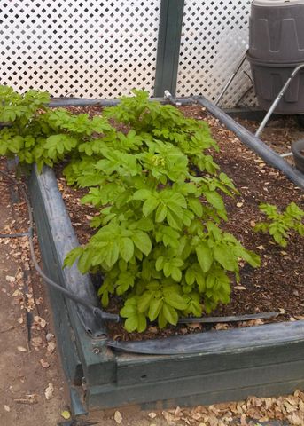 9719 Gary Dr, Browns Valley, CA 95918