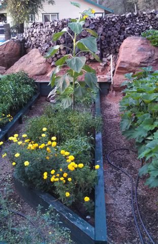 9719 Gary Dr, Browns Valley, CA 95918