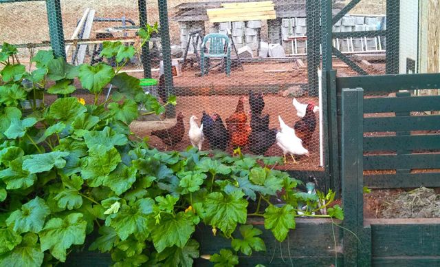 9719 Gary Dr, Browns Valley, CA 95918