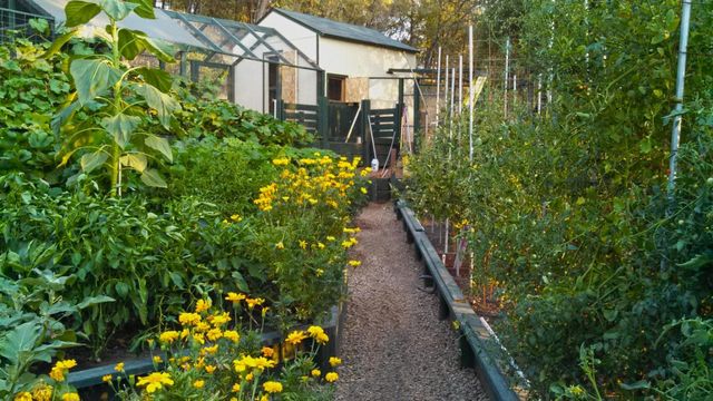 9719 Gary Dr, Browns Valley, CA 95918