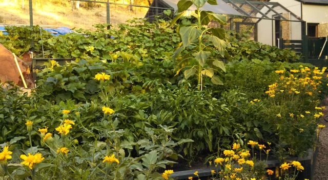 9719 Gary Dr, Browns Valley, CA 95918