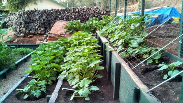 9719 Gary Dr, Browns Valley, CA 95918