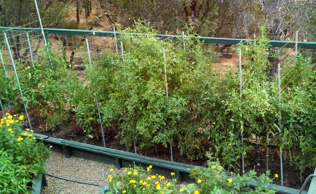 9719 Gary Dr, Browns Valley, CA 95918